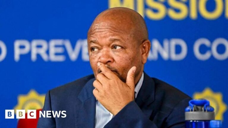 Nhlanhla Mkhwanazi accuses South African police minister of links to criminal gangs