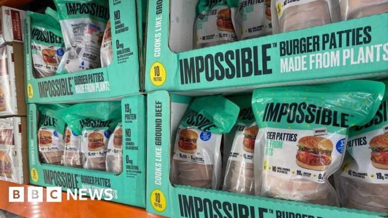 EU parliament votes to ban meat names for plant-based foods