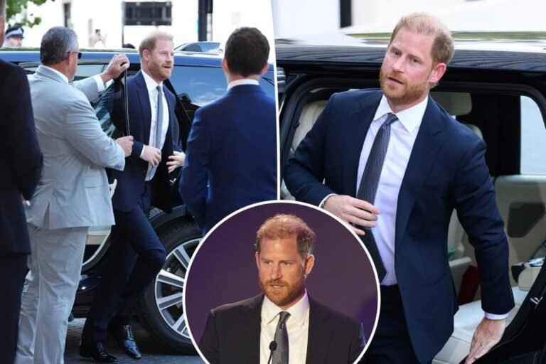 Prince Harry’s stalker came within feet of the duke during recent UK visit