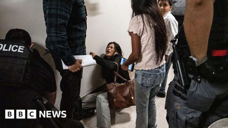 ‘They treated us like animals’