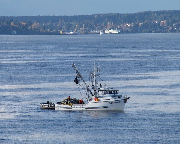 West Seattle Blog… | SEEN OFF WEST SEATTLE: Salmon fishing off Alki Point
