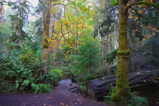 West Seattle Blog… | Our list for your awaiting-the-rain West Seattle Thursday