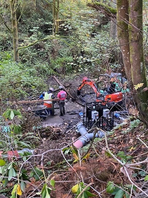 West Seattle Blog… | ROAD WORK ALERT: California SW down to one lane by Fauntleroy culvert repairs