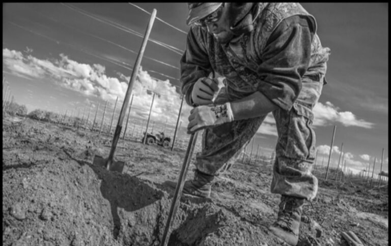 Trump the Drops Hammer on Farmworkers