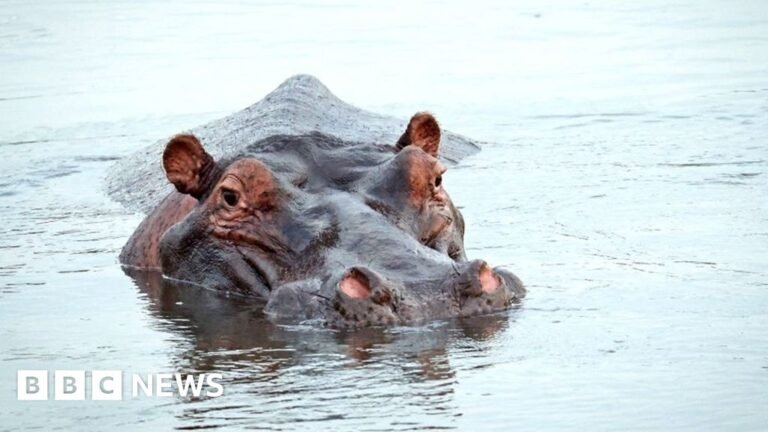 South Africa debates changing name of world-famous reserve