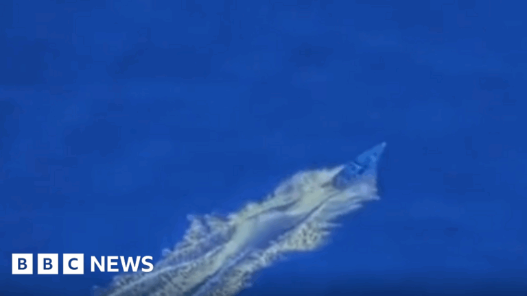 Colombia’s president says boat struck by US was carrying Colombians