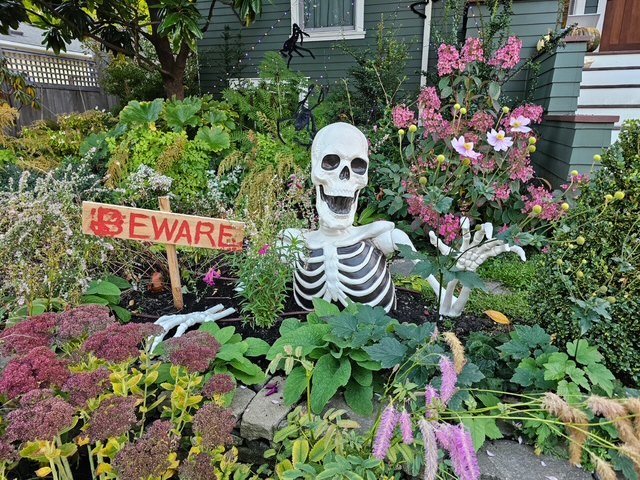 West Seattle Blog… | WEST SEATTLE HALLOWEEN: Seaview sights