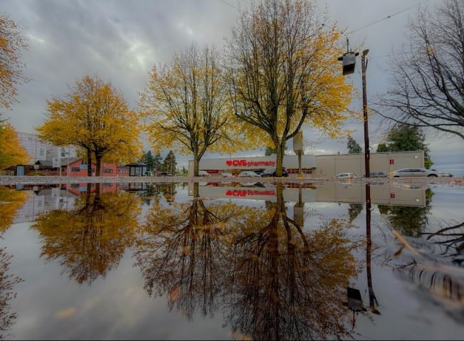 West Seattle Blog… | West Seattle Junction Harvest Festival, Fauntleroy Creek salmon welcome, more for your Sunday