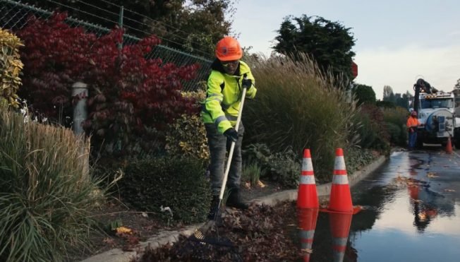 West Seattle Blog… | Lots of leaves? Seattle Public Utilities allowing extra yard waste, no extra charge, again for November